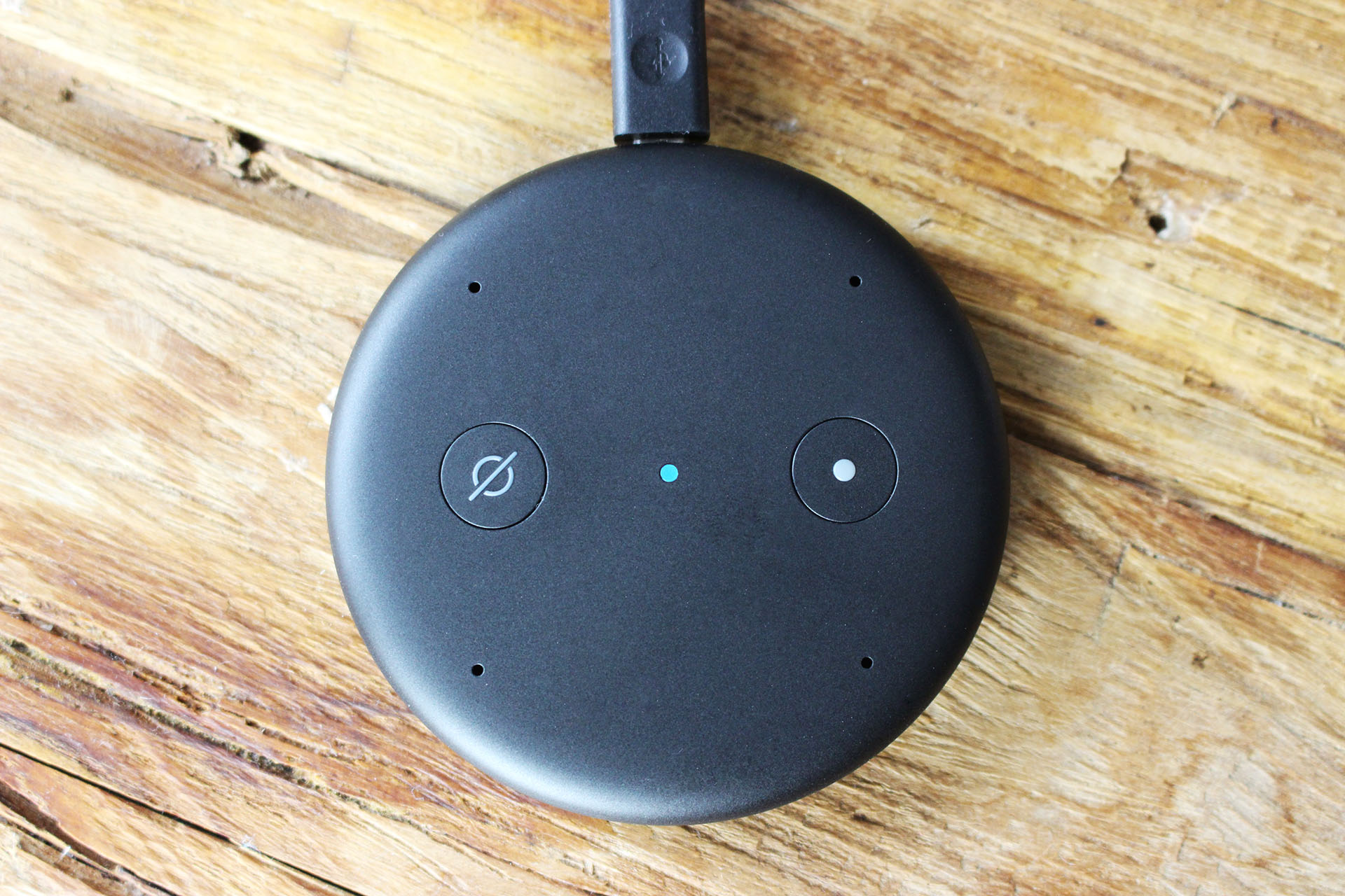 Echo Input – Die flexible Alexa – Die Smart WG