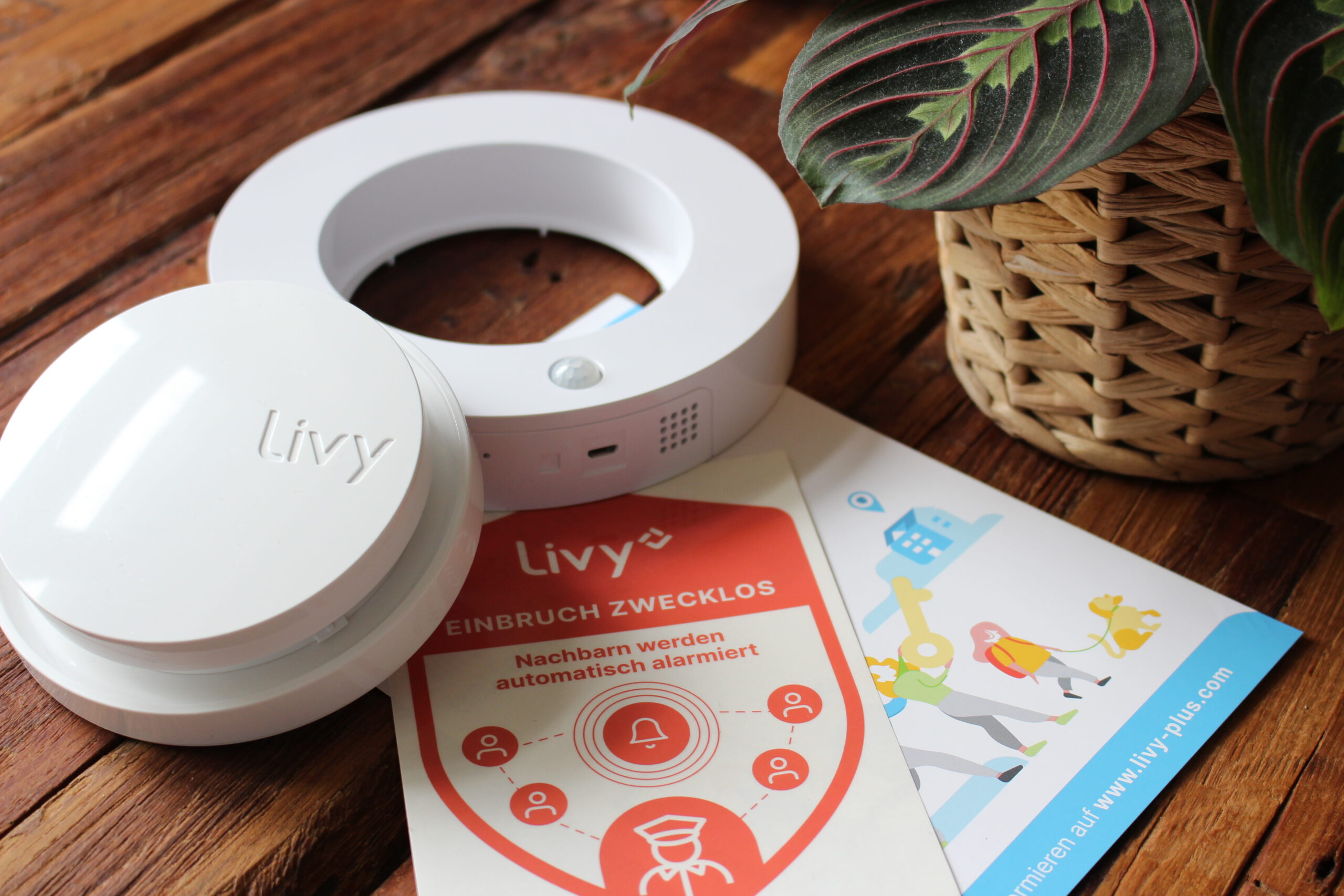 Livy Smart Ring